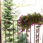 Il Giarolo Cameriano