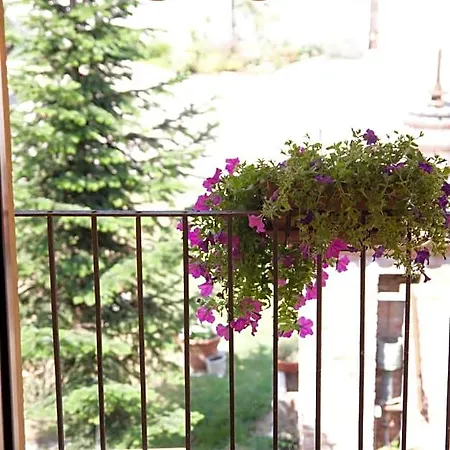 Guest house Il Giarolo 3*